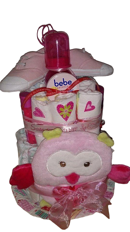 10153193_569153053191932_1273697756_n Windeltorte Rosa Eule