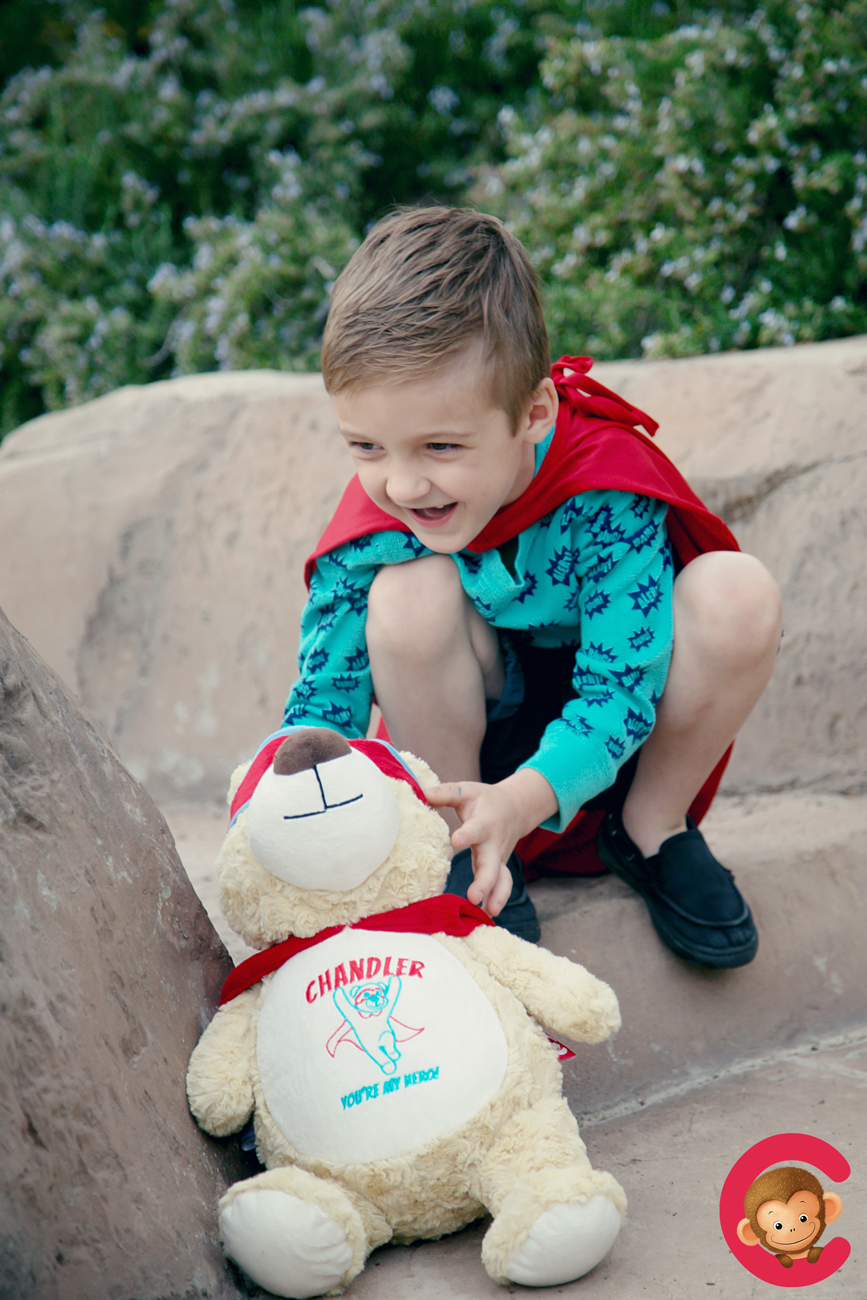 Bear-Hero-12